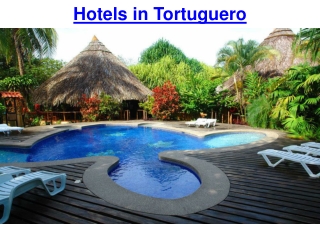 Hotels in Tortuguero