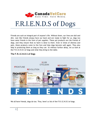 F.R.I.E.N.D.S for Dogs