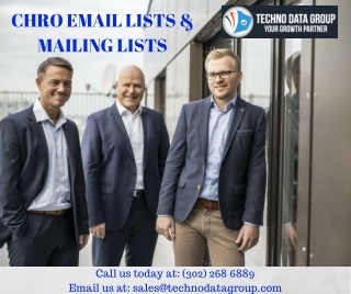 CHRO Email Lists & Mailing Lists | Chief Human Resources Officer Email Lists IN USA