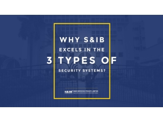 Why S&IB Excels in the 3 Types of Security Systems