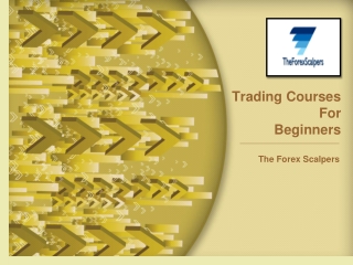 Trading Courses For Beginners - The Forex Scalpers