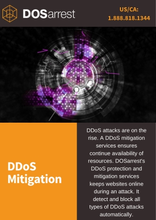 DDoS Mitigation