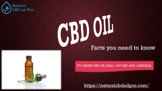 Go Through The Document And Find Out What Plant is CBD From?