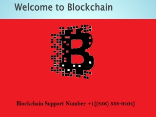 Blockchain support Number