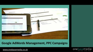 Google Adwords management & PPC Campaigns