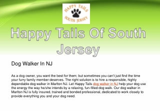 Professional Dog Walker In NJ