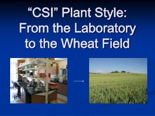 “CSI” Plant Style: From the Laboratory to the Wheat Field