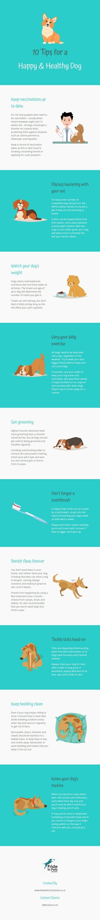 10 Tips for A Happy and Healthy Dog