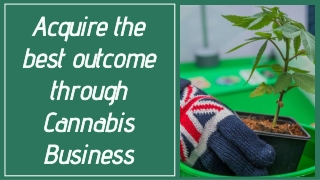 Acquire the best outcome through Cannabis Business