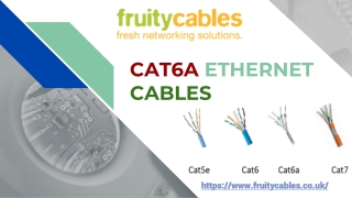 Cat6a Ethernet Cables - Fruity Cables Ltd