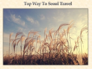 Top Way To Seoul Travel