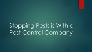 Stopping pests is with a pest control company