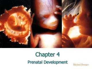 Chapter 4