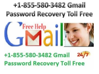 Gmail Password Recovery Toll Free