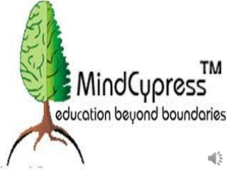 Financial Modelling Course Online (Mindcypress)