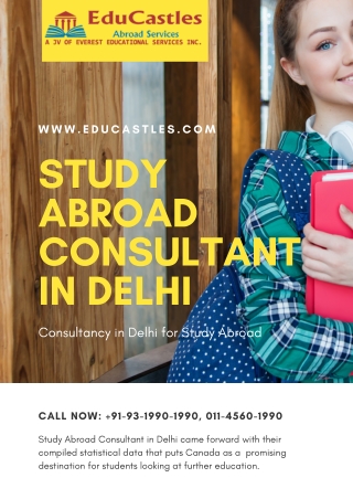 Study Abroad Consultant In Delhi