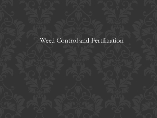 Weed Control and Fertilization TurfWorks