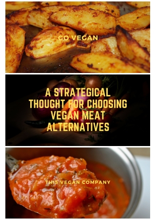 A Strategical thought for Choosing Vegan Meat Alternatives