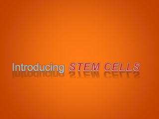 Introducing STEM CELLS