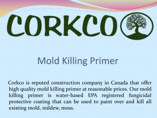 Mold Killing Primer