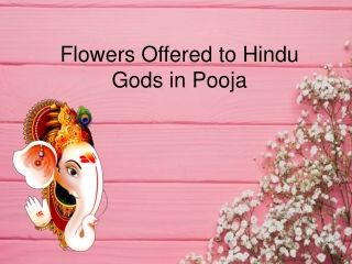 Flowers Offered to Hindu Gods in Pooja