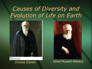 Causes of Diversity and Evolution of Life on Earth