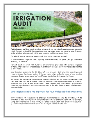 What Does An Irrigation Audit Include - Schill Grounds Management