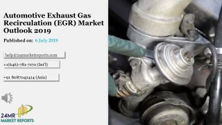 Automotive Exhaust Gas Recirculation (EGR) Market Outlook 2019