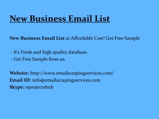New Business Email List