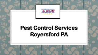 Pest Control Services Royersford PA