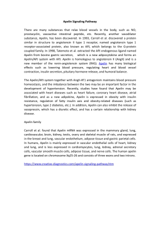 Apelin Signaling Pathway