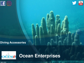 Find The Best Scuba Diving Accessories at one Location - Ocean Enterprises