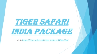 Tiger safari India package