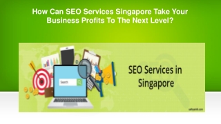 How Can SEO Services Singapore Take Your Business Profits To The Next Level?