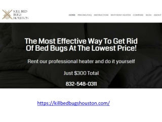 Best Bed Bugs Treatment in Houston