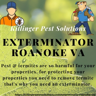 Exterminator Roanoke VA | Killinger Pest Solutions