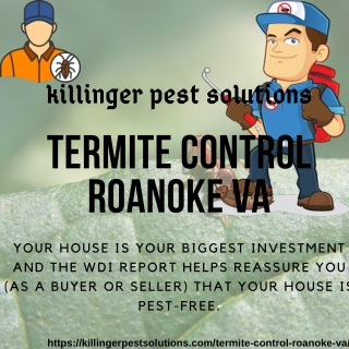 Termite Control Roanoke VA | Killinger Pest Solutions