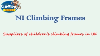 Outdoor Wooden Swing Sets | NI Climbing Frames
