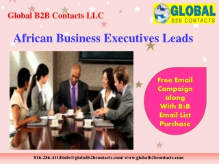 African Business Executives Leads