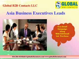 Asia Business Executives Leads