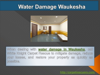 Water Damage Waukesha