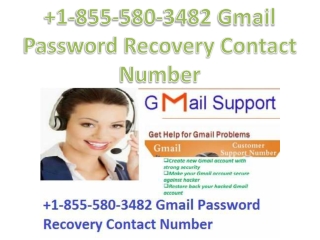Gmail Password Recovery Contact Number