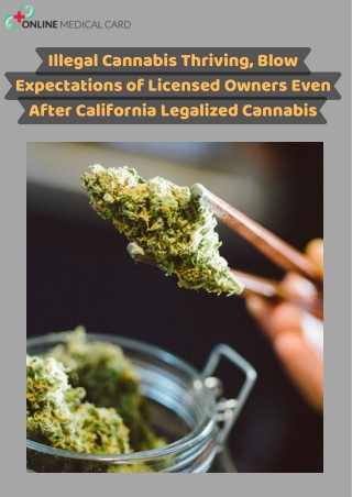 Illegal Cannabis Thriving, Blow Expectations of Licensed Owners Even After California Legalized Cannabis