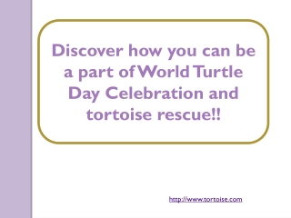 Discover how you can be a part of World Turtle Day Celebration and tortoise rescue!!