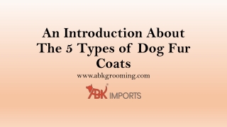 An Introduction About The 5 Types of Dog Fur Coats