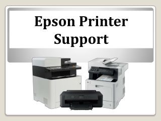 Epson Printer Support