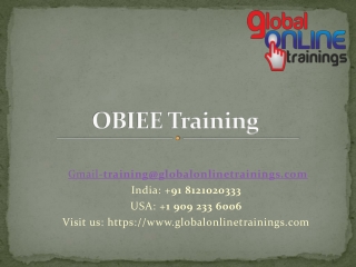 OBIEE 11G ONLINE TRAINING , Business Intelligence Enterprise Edition 11g