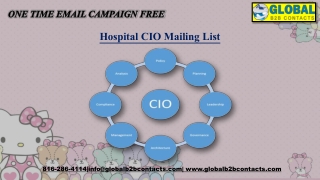 Hospital CIO Mailing List