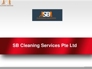 Reasons to choose professional cleaning agency in singapore