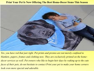 Print Your Pet Is Now Offering The Best Home-Decor Items This Season